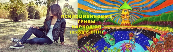 скорость mdpv Богородицк