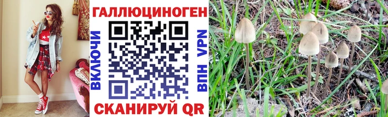 Псилоцибиновые грибы MAGIC MUSHROOMS  где купить наркоту  Котлас 